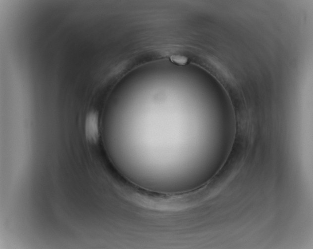 X0000110950028200906191259