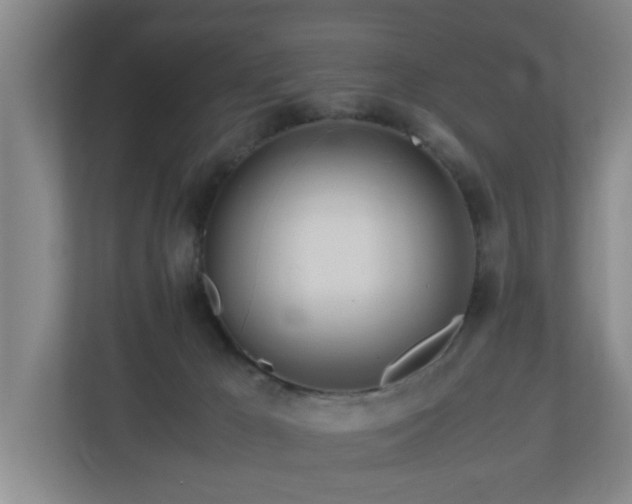 X0000110950029200906191259