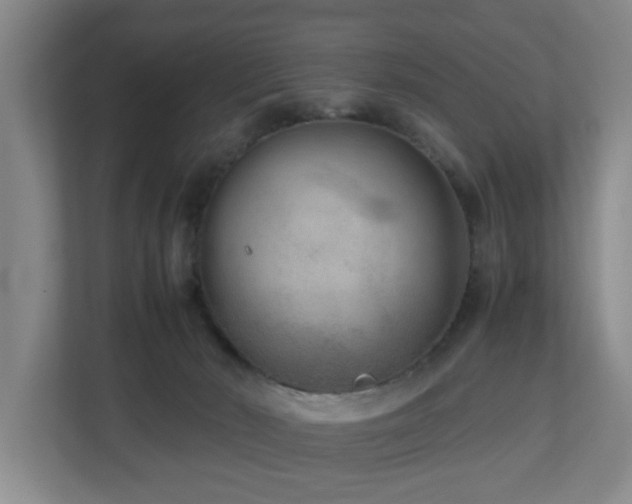 X0000110950030200906191259