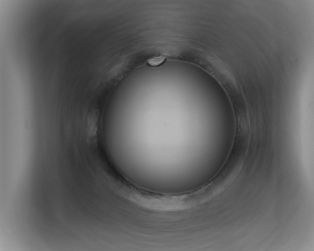 X0000110950032200906191259