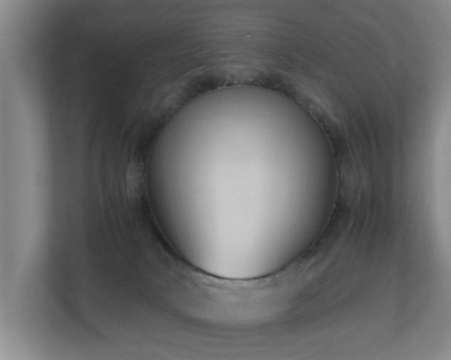 X0000110950034200906191259