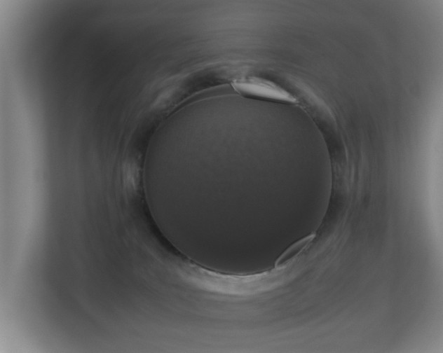 X0000110950035200906191259