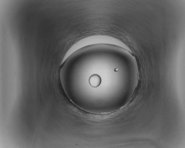 X0000110950037200906191259