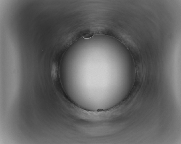 X0000110950038200906191259