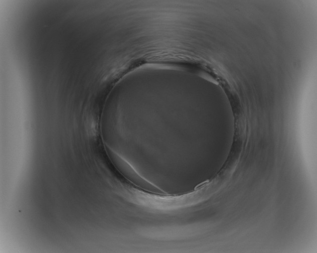X0000110950039200906191259