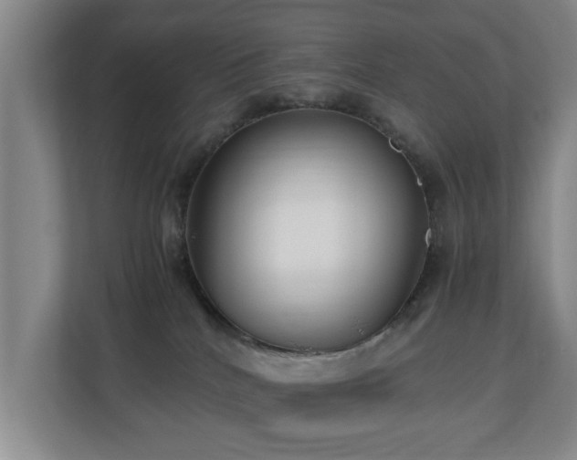 X0000110950040200906191259
