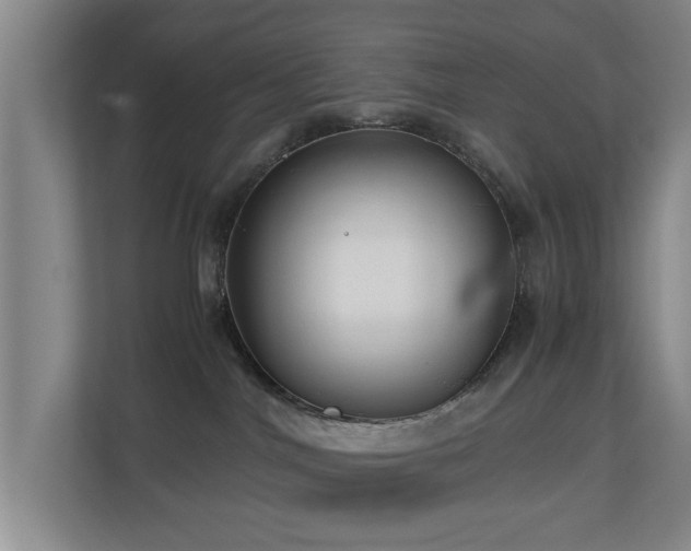 X0000110950044200906191259