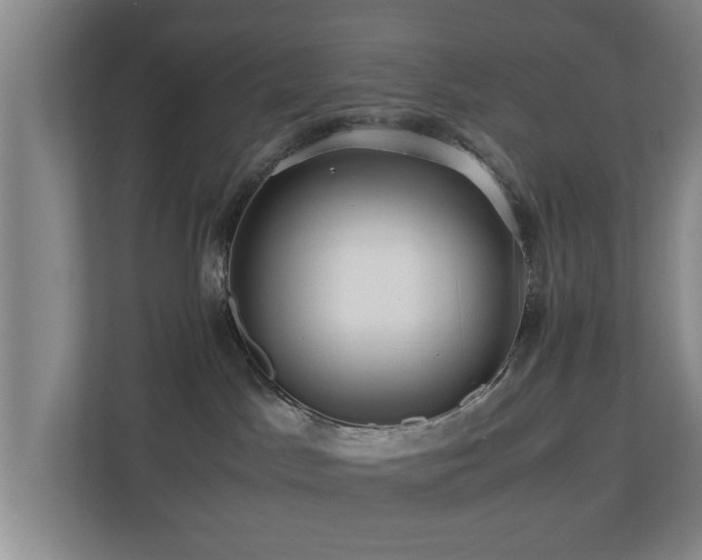 X0000110950045200906191259