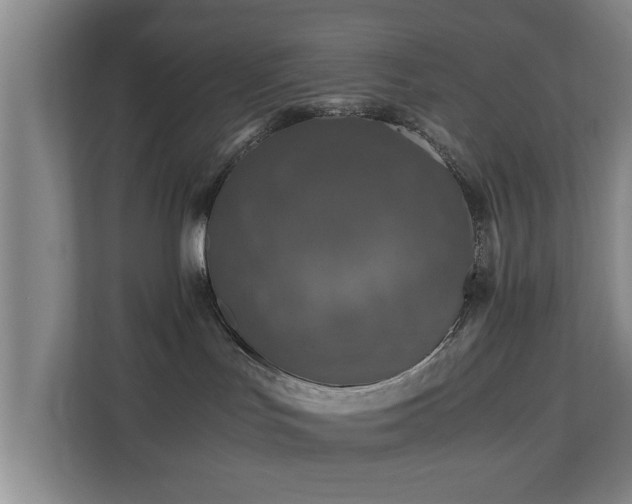 X0000110950047200906191259