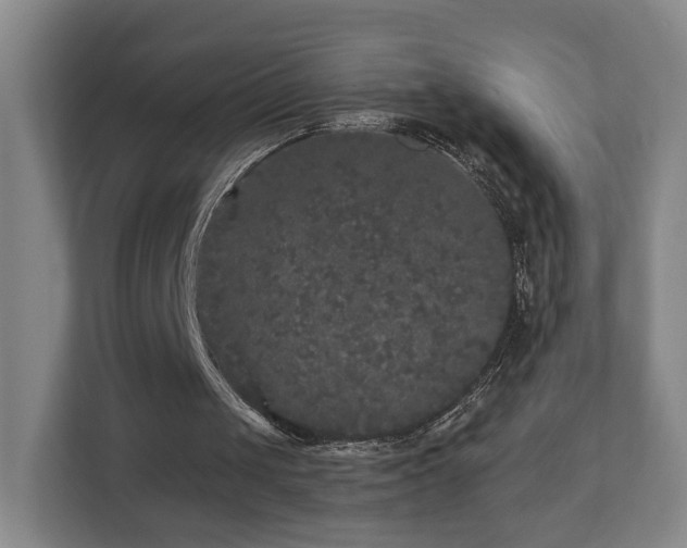 X0000110950049200906191259