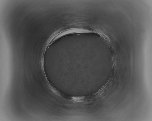 X0000110950051200906191259