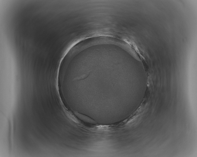 X0000110950052200906191259