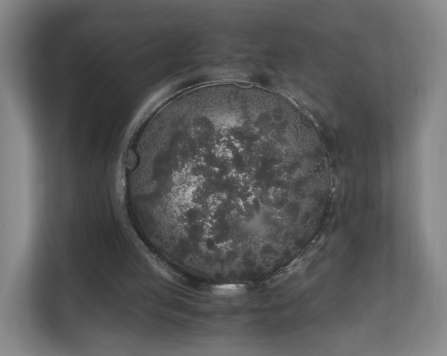 X0000110950053200906191259