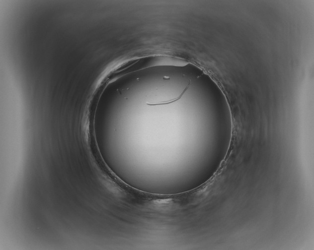 X0000110950054200906191259