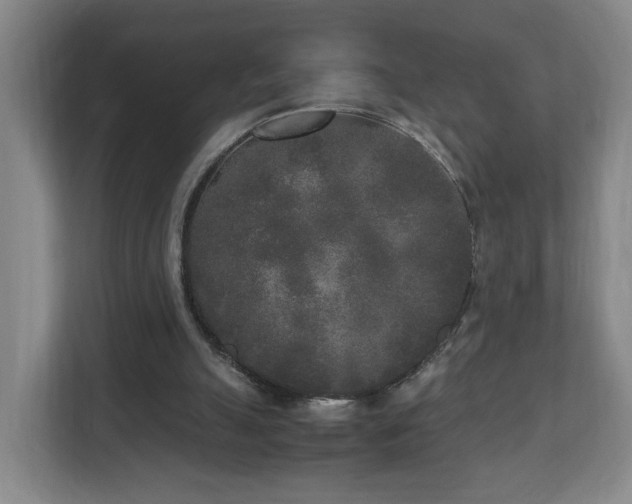 X0000110950055200906191259