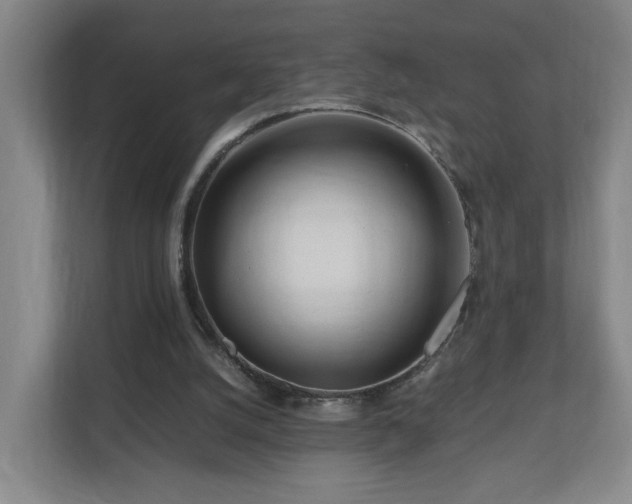 X0000110950056200906191259