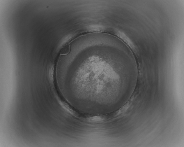 X0000110950058200906191259