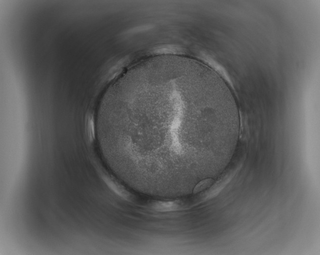 X0000110950061200906191259