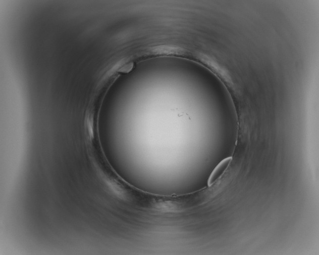 X0000110950062200906191259