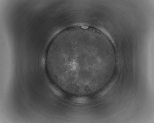 X0000110950063200906191259