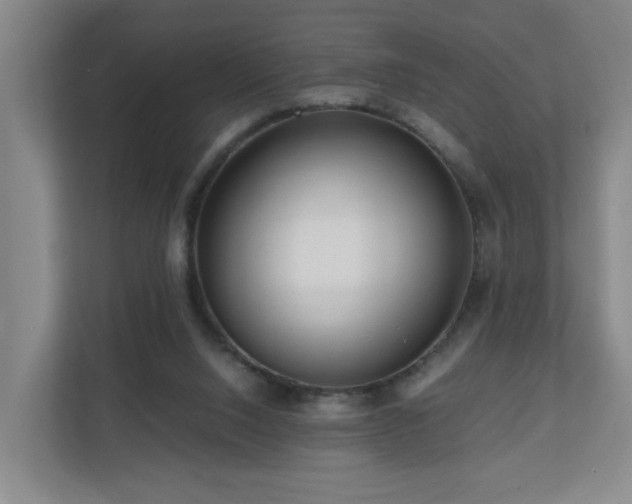 X0000110950064200906191259