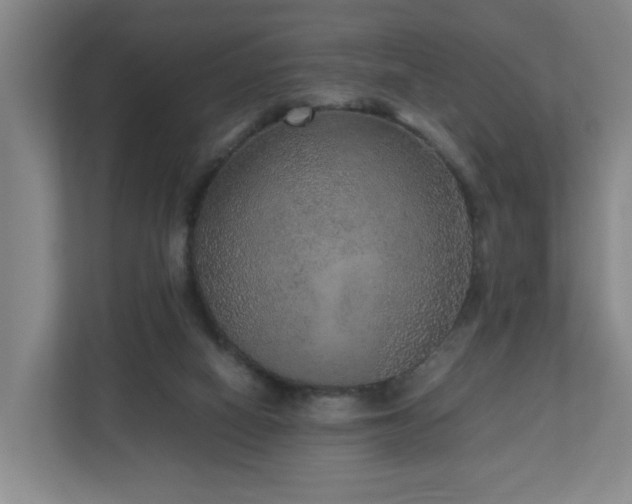 X0000110950066200906191259