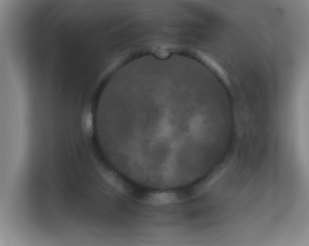 X0000110950067200906191259