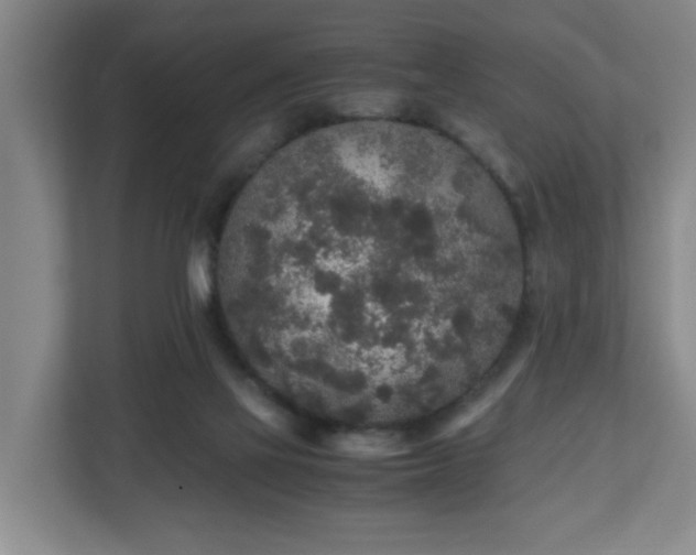 X0000110950069200906191259