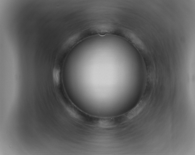 X0000110950070200906191259