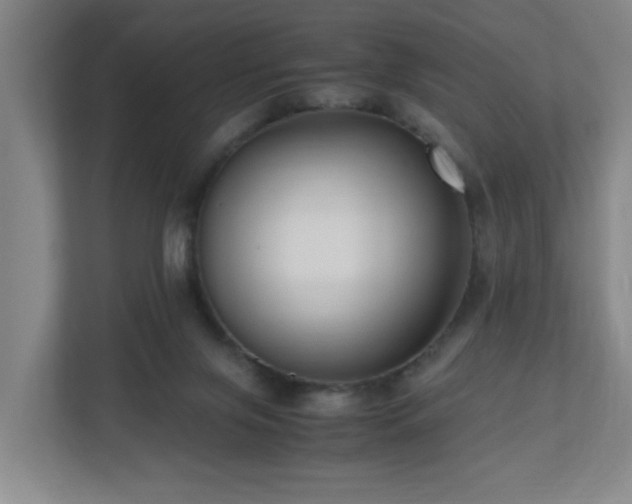X0000110950071200906191259
