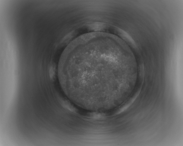 X0000110950073200906191259