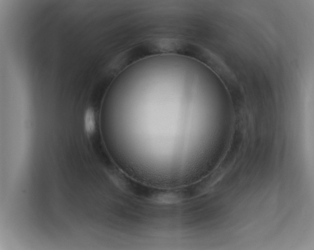 X0000110950075200906191259