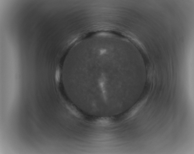 X0000110950076200906191259