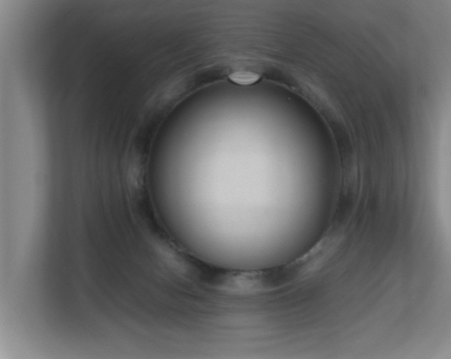 X0000110950078200906191259
