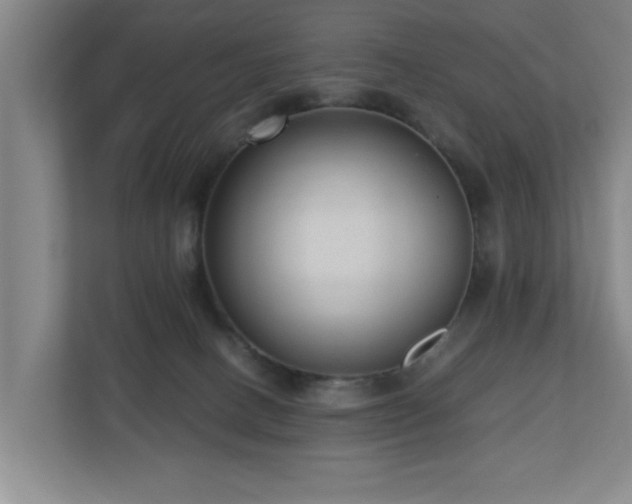 X0000110950082200906191259