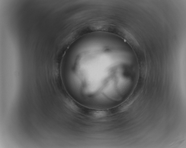 X0000110950085200906191259