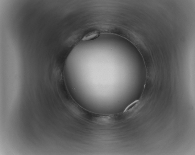X0000110950086200906191259