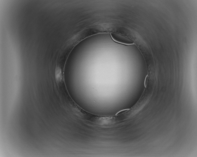 X0000110950089200906191259