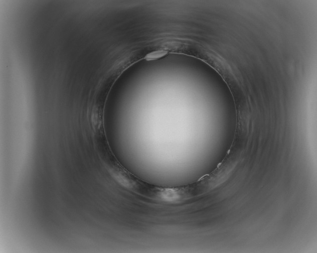 X0000110950091200906191259