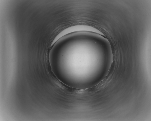 X0000110950092200906191259