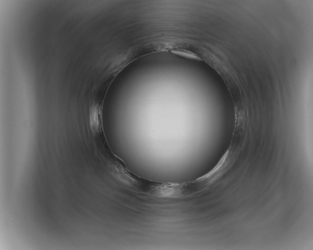 X0000110950094200906191259
