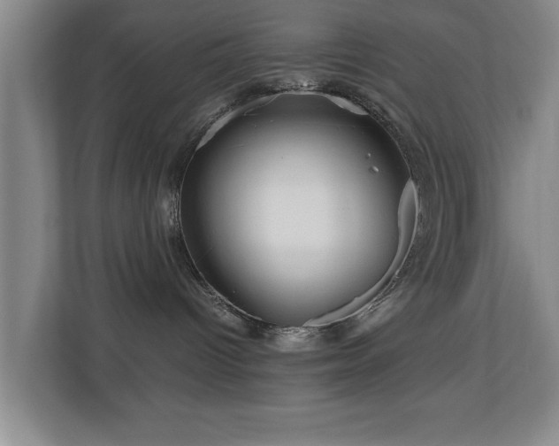 X0000110950096200906191259