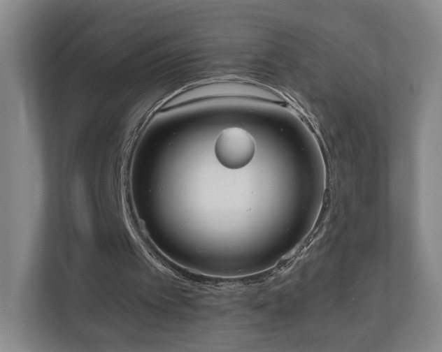 X0000110950097200906191258