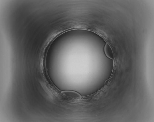 X0000110950098200906191258