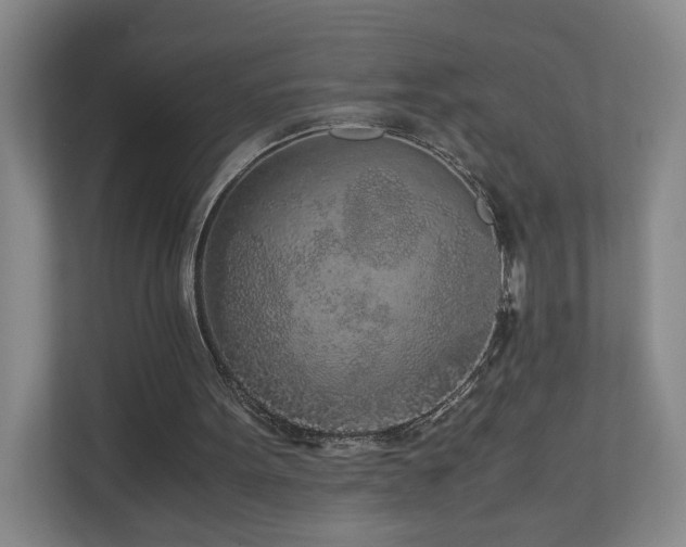 X0000110950099200906191258