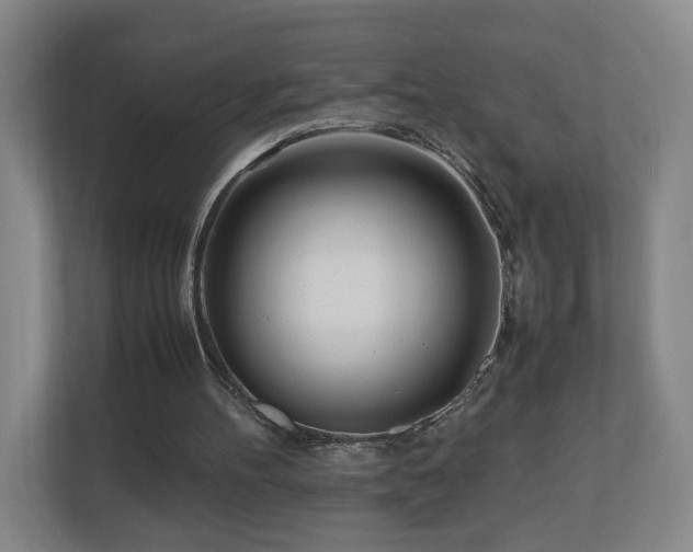 X0000110950100200906191258