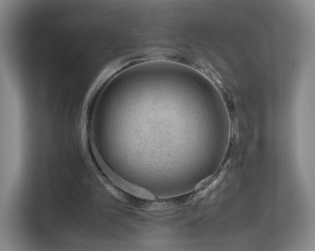 X0000110950101200906191258