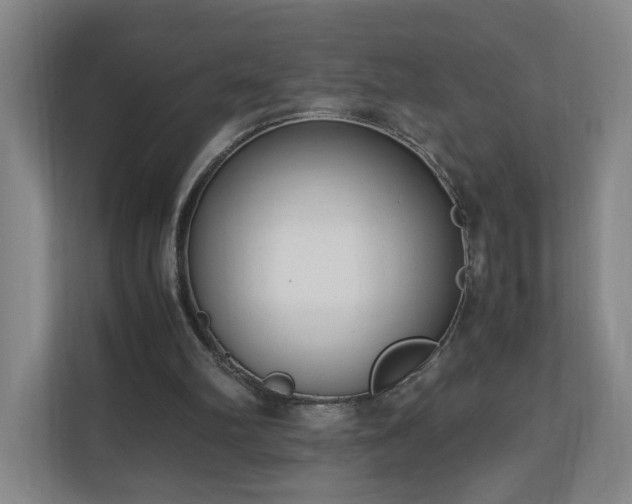 X0000110950102200906191258