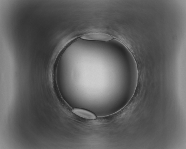 X0000110950103200906191258