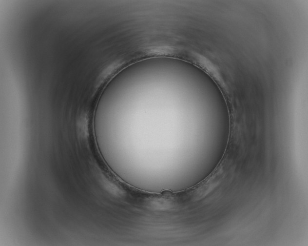 X0000110950106200906191258